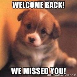 Image result for Cat Sketch Tutorial