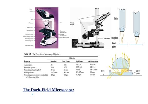 Image result for Microscope and Its Classification