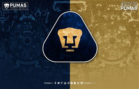 Pumas Wallpapers - Wallpaper Cave