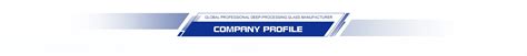 Company Overview - Shandong Weihua Glass Co., Ltd.