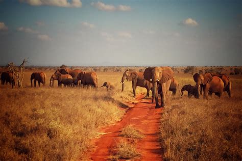 Tsavo East National Park | Join Up Safaris