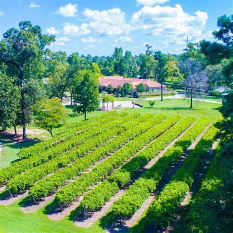Houston Area Top Wineries – toptexaswines