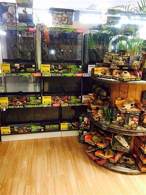 pet and reptile shop near me