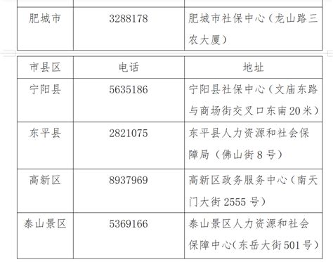 泰安市开展社保待遇领取自助资格认证兜底行动