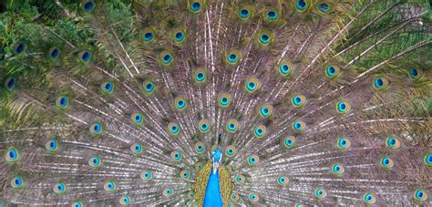 India Beat | Tailor-made holidays to India