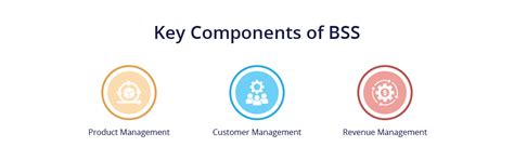 Image result for BSS Scripts Tutorial