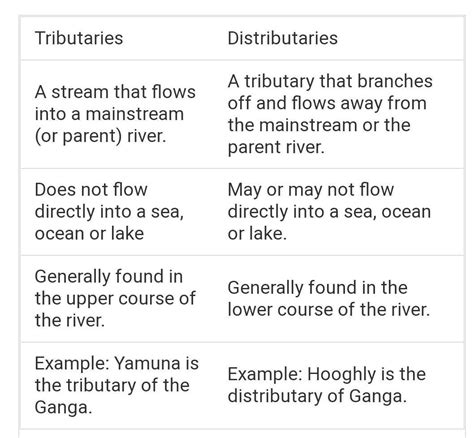 What is the difference between a tributary and distributary - Brainly.in