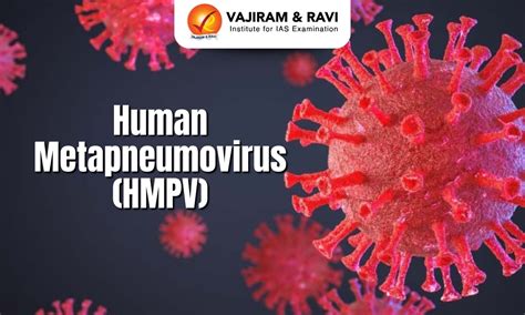 Human Metapneumovirus (HMPV), Causes, Symptoms, Treatment, Latest News
