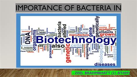 Biotechnology Bacteria 的图像结果