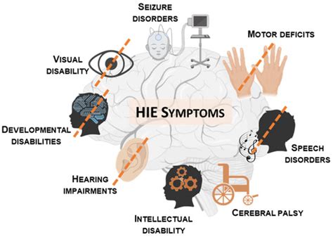 Targeting the Multiple Complex Processes of Hypoxia-Ischemia to Achieve ...