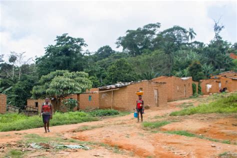 Primitive Humans Building 的图像结果