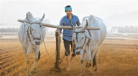 Maharshi impact: Mahesh Babu's weekend farming leads to # ...