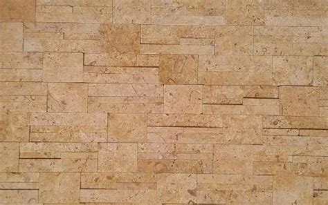 NST051 Sand Stone-Golden Shell at best price in Bengaluru by GSM ...