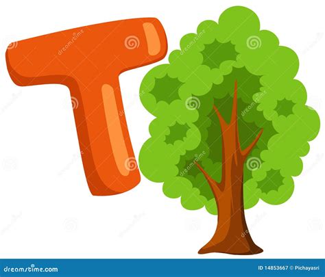 Image result for T-Tree