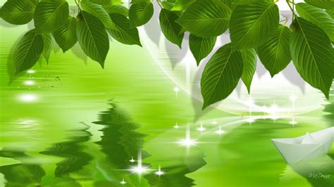 Image result for Spring Refletion