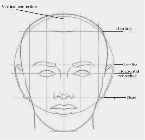 Image result for Face Proportion Drawing Lesson
