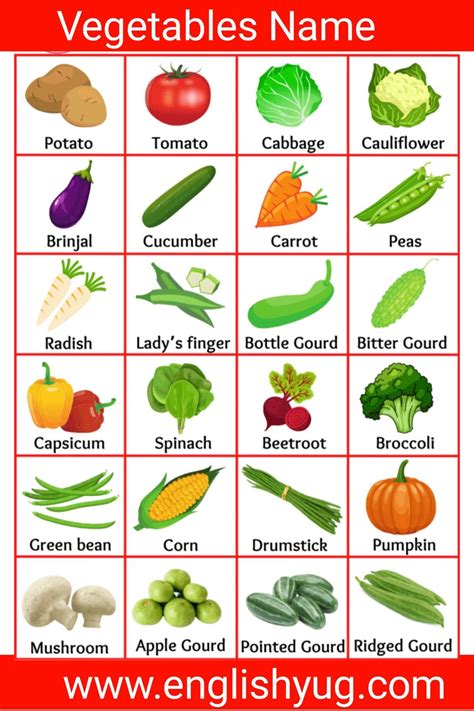 vegetables name in english | Name of vegetables, Vegetables names with ...
