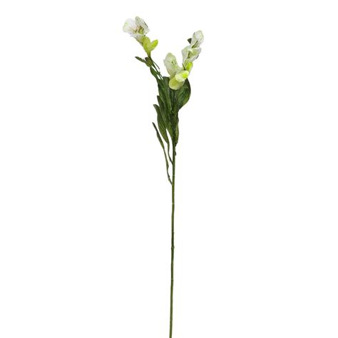 Buy Alstroemeria Flowers Online for Various Decor View — Bharat Wholesales