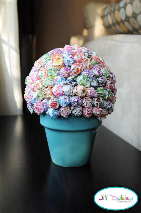 Image result for Mini Lollipop Tree