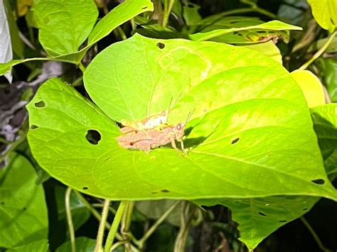 Unlock Nature (Paramaribo) - All You Need to Know BEFORE You Go