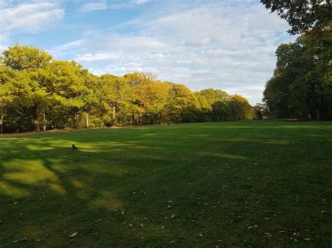 Belfairs Wood, Park and Nature Reserve (Leigh-on Sea) - 2020 What to ...