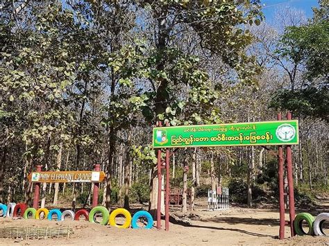 Pyay Elephant Camp - All You Need to Know BEFORE You Go