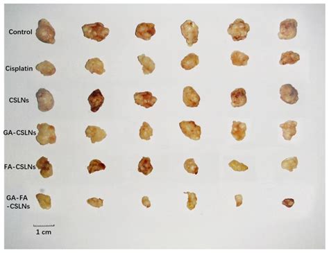 Development of Glycyrrhetinic Acid and Folate Modified Cantharidin ...