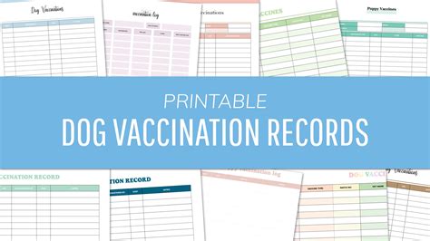Dog Vaccination Record Printable PDF - 16 FREE Puppy Vaccine Logs