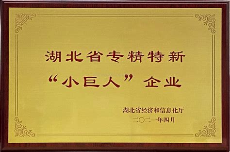 湖北省专精特新小巨人企业-公司档案-湖北方圆环保科技有限公司