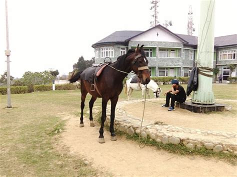 Delo Park, Homes St.And Graihms, WB