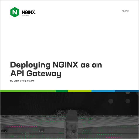 Nginx API Gateway 的图像结果