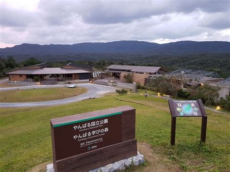 YANBARU DISCOVERY FOREST SHUKUHAKUTO (Kunigami-son) - Ranch Reviews ...