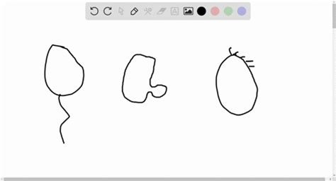 Code Python for Bacteria Movement 的图像结果