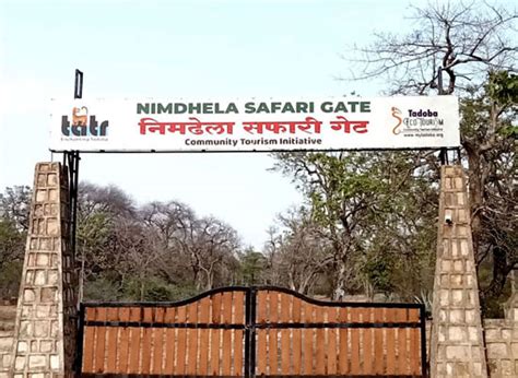 Safari Entry Gates at Tadoba Andhari Tiger Reserve | 98 Stripes 2025 Guide