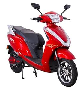 EVTRIC Electric Scooter Mighty | 48V Lithium Ferrophoshate Battery ...