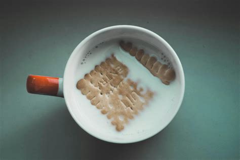 Image result for DIP