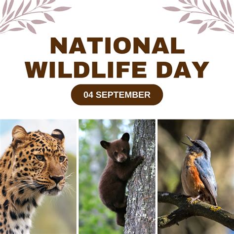 National Wildlife Day 2024 : Honoring the Diversity of Life With Top 10 ...