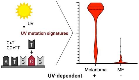 Is Cutaneous T-Cell Lymphoma Caused by Ultraviolet Radiation? A ...