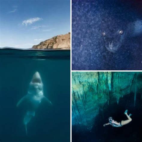Pictures That Show Why Thalassophobia, or Fear of the Deep Sea, Is a ...