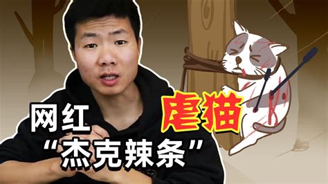 网红杰克辣条虐猫被治安拘留，道歉称：知过悔过改过，请给我一次机会-千里眼视频-搜狐视频