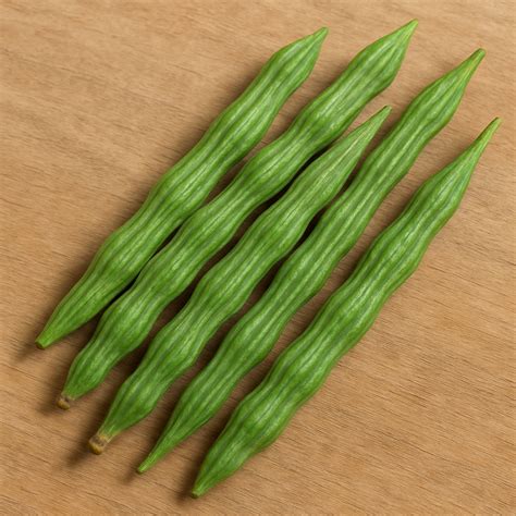 Organic Moringa Products - Fresh Leaves, Powder & Drumsticks ...
