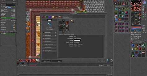 Image result for Tibia Ek