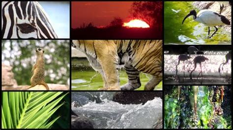 Image result for 1500 Method Algorithm