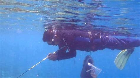 优享资讯 | 珊瑚礁鱼枯竭寻凶 盯上鱼枪打鱼 学者吁拒吃「穿孔鱼」
