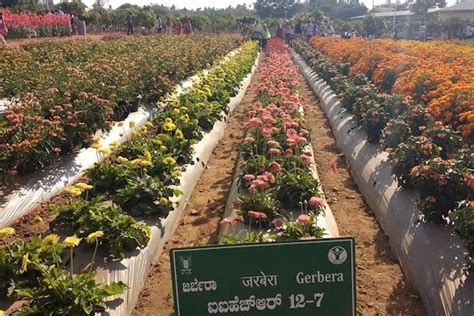 Indian Institute of Horticultural Research Bangalore Campus: Photos ...