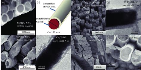 Multiferroics 的图像结果