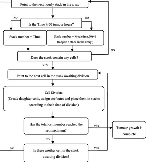 Image result for Division Algorithm Flow Chart