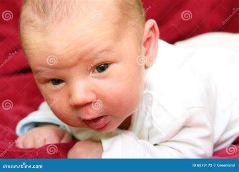 Two weeks old baby stock photo. Image of born, happy, care - 6879172