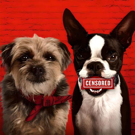 Strays (2023) Review - What The Craggus Saw