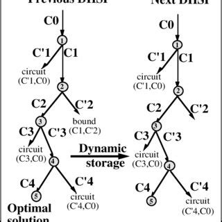 Dynamic Programming and Backtracking Diffrence 的图像结果